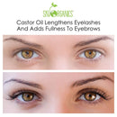 Castor Oil USDA Organic Cold-Pressed 100% Pure