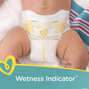 Pampers Swaddlers Disposable Baby Diapers