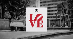 DC Shoes Love Park Double Box