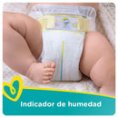 Pampers Swaddlers Overnights Disposable Baby Diapers